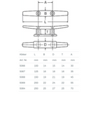 RVS Kikker Nicholson