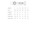 Oogbout lang DIN 444 RVS316